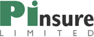 Pinsure logo